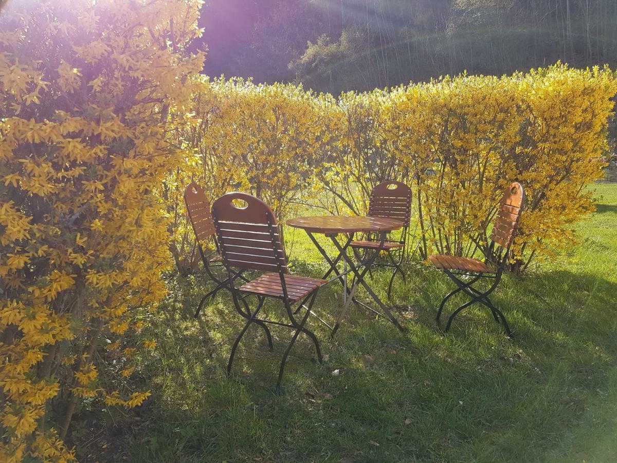 Hotel Garni Dekorahaus Bad Schandau Esterno foto